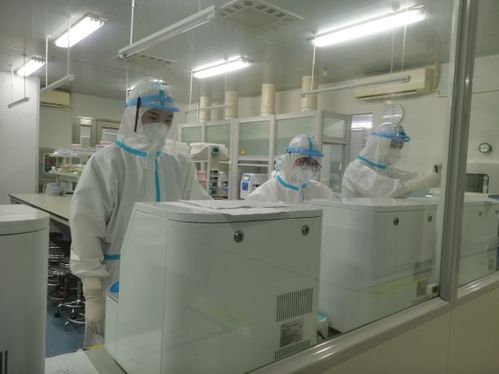 探訪 鄭州市核酸檢測結果如何準確快速出爐